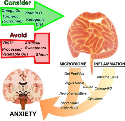 Nutrition as Metabolic Treatment for Anxiety